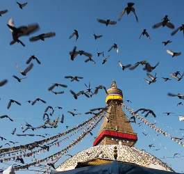 why-nepal-2